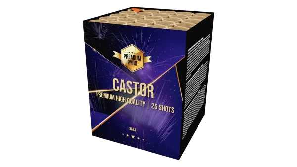 CASTOR - Afbeelding 1