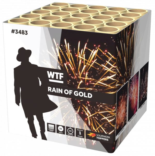 RAIN OF GOLD - Afbeelding 1
