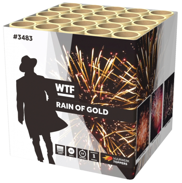 RAIN OF GOLD - Afbeelding 1